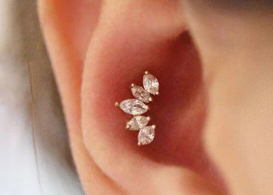 16g Crown Shape Gold Body Piercing Jewelry Earrings 6mm Panjang Dengan Mq Diamond